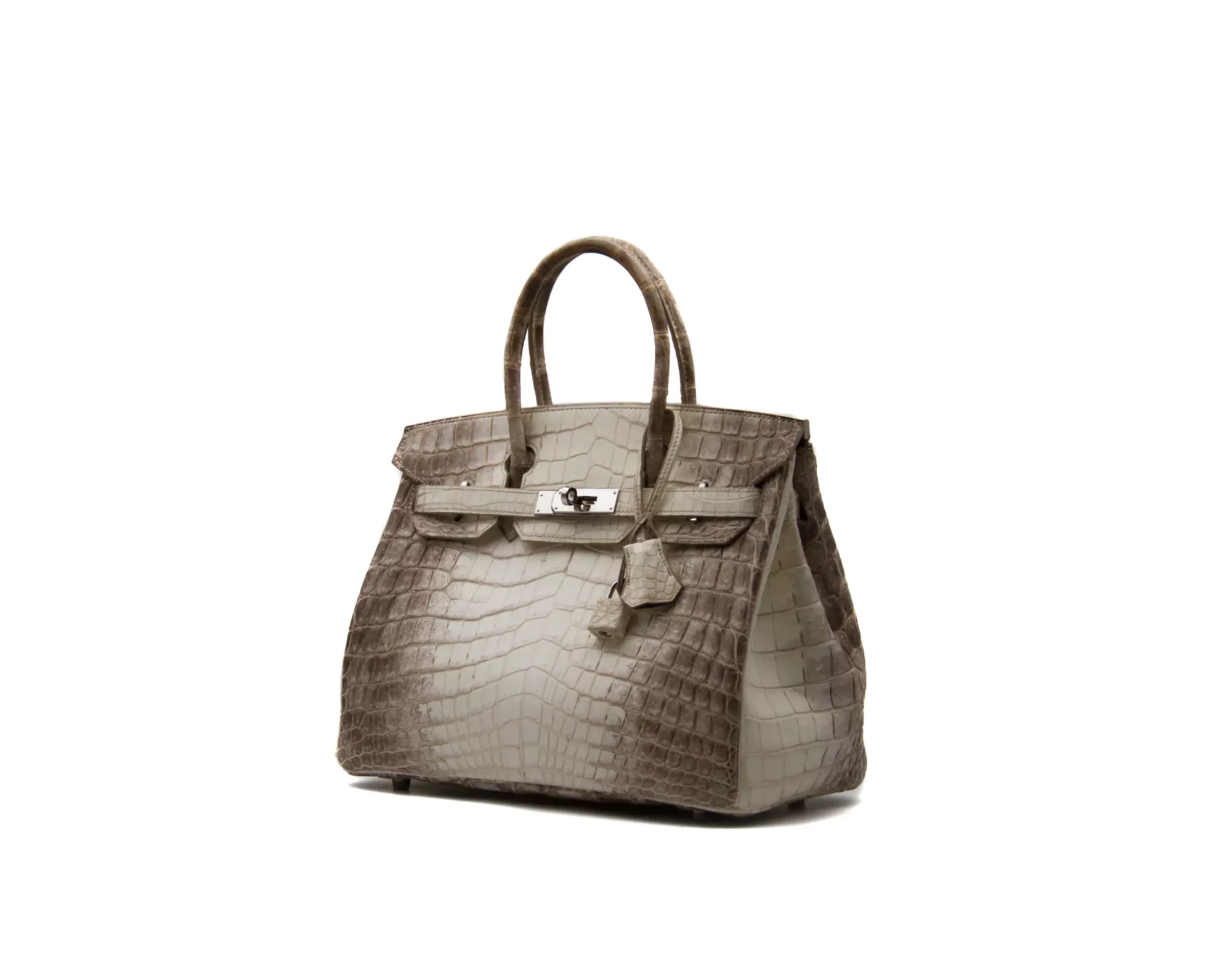 Hermès Birkin 30 Himalaya in Blanc aus Krokodilleder mit Palladium-Hardware – extrem seltene Luxustasche - profile