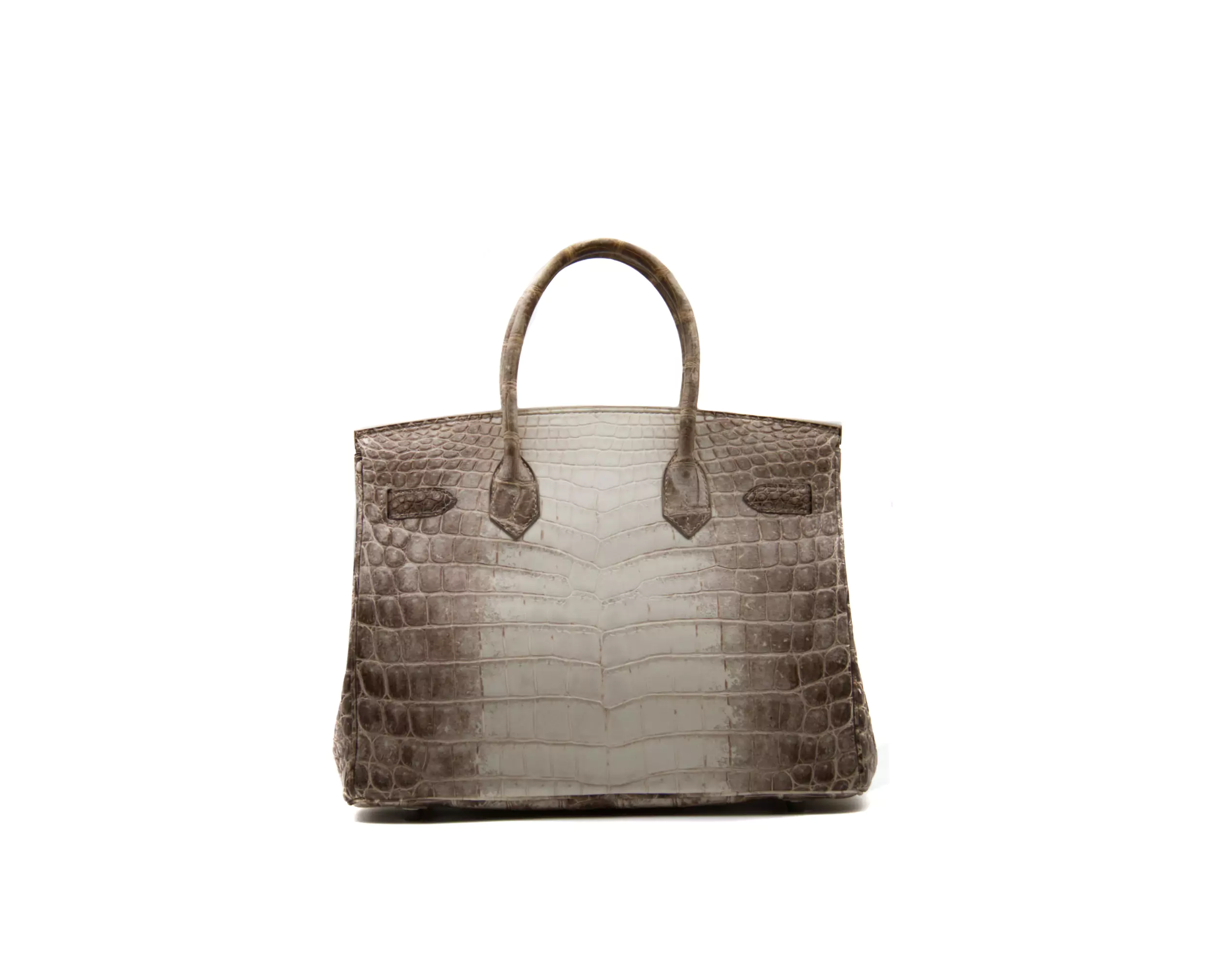 Hermès Birkin 30 Himalaya en cuero de cocodrilo Blanc con herrajes de paladio – bolso de lujo extremadamente raro - back