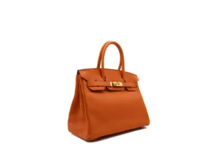 Hermès Birkin 30 Orange Taurillon Clémence leather with gold hardware – iconic medium luxury handbag in bright orange - profile